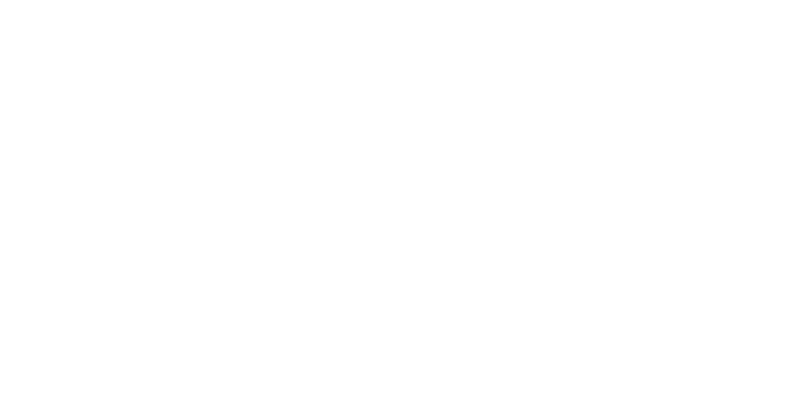 Saller Logo