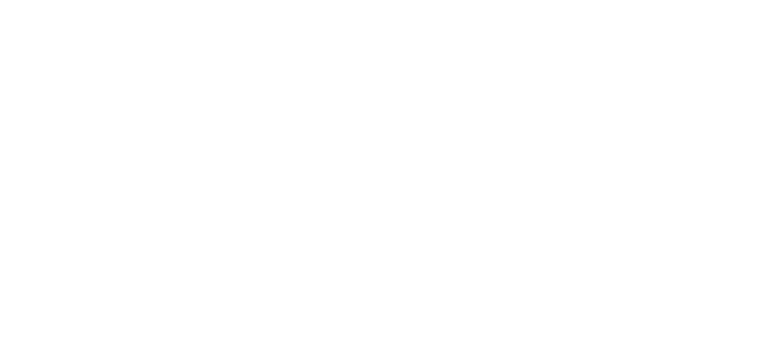Saller Logo