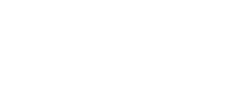 Saller Logo