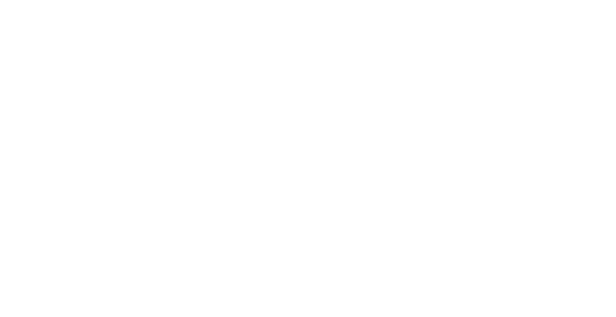 Saller Logo